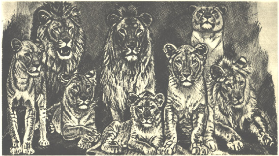 Ed.W.Lõvide perekond.1949.Kuivnõel.24,3x43,5.RKM.jpg: Ed.Wiiralt. Lõvide perekond.1949.Kuivnõel.24,3x43,5.RKM.
