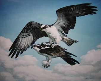 A. Hanni. Perekond.õli.2002.jpg: