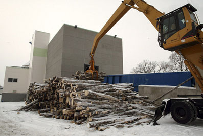 EstonianCell.jpg: