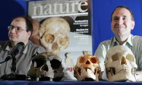 Floresiensis2.JPG: