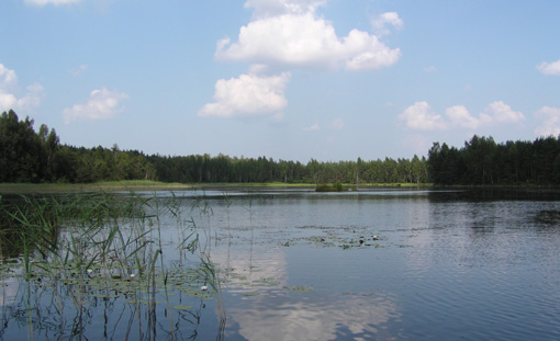 Niinsaare järv198.jpg: 