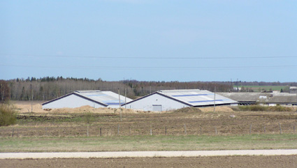 Torma PÜ Tõnumetsa farm50.jpg: