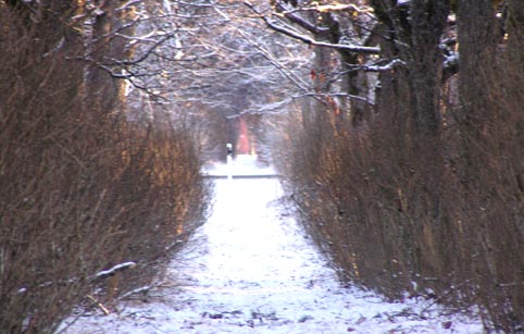 Uulu allee.jpg: Juba ennemuiste rajati Uulu kiriku ja vallamaja vahel ca 500 sülla pikkune allee. Punetav laik allee lõpus ongi vallamaja. Must-valge pulk keskel tähistb aga ristumist Via Baltikaga...